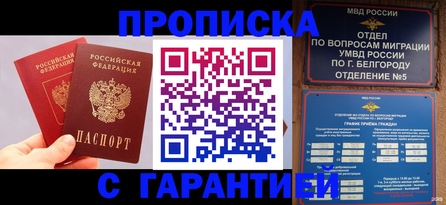 прописка 2025 в Балашихе